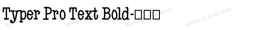 Typer Pro Text Bold字体转换